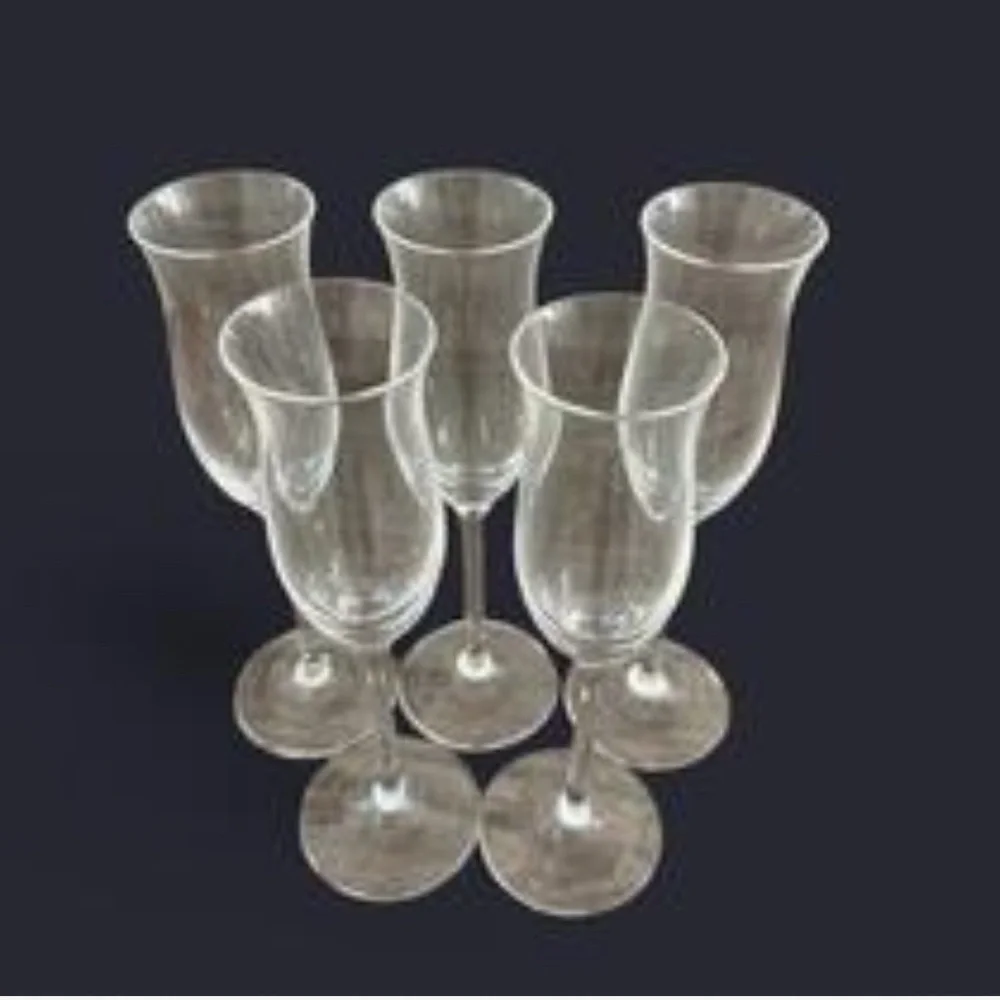 Elegant Clear Glass Leonardo set of‎ 5 Champagne Flutes Set